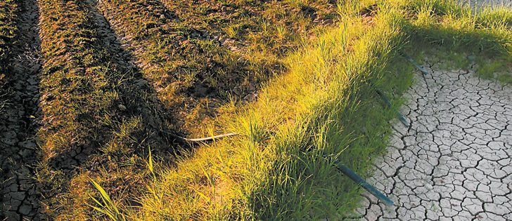 Soil reclamation projects are often driven by high land and crop values, and pH is not always enough of a problem to warrant amendments.  |  File photo