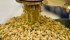 Spring wheat samples show preliminary protein levels in No. 1 CWRS wheat ranging from 12.4 to 13.2 percent. | File photo