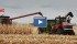DuPont Pioneer and RisRock Ag held a corn harvest demonstration at North Battleford, Sask. on October 17, 2013. | Michael Raine photo