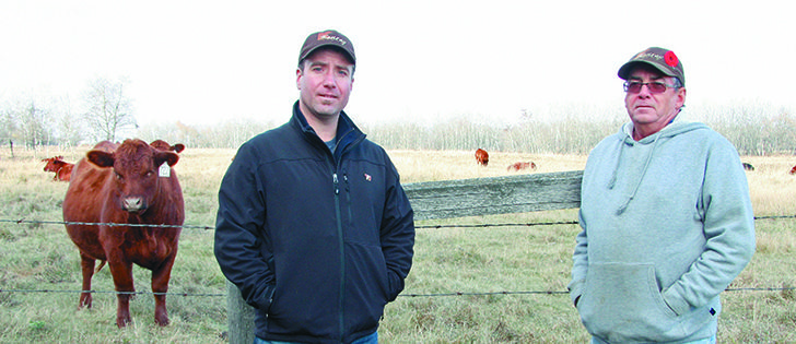 Sheldon Kyle, left, and Ray Kyle produce cattle at Kenray Ranch south of Redvers, Sask. The Kyles have shown both commercial and purebred cattle at Canadian Western Agribition in the past and this year are in The Yards, a new venue in the Stock Exchange.  |  Karen Briere photo