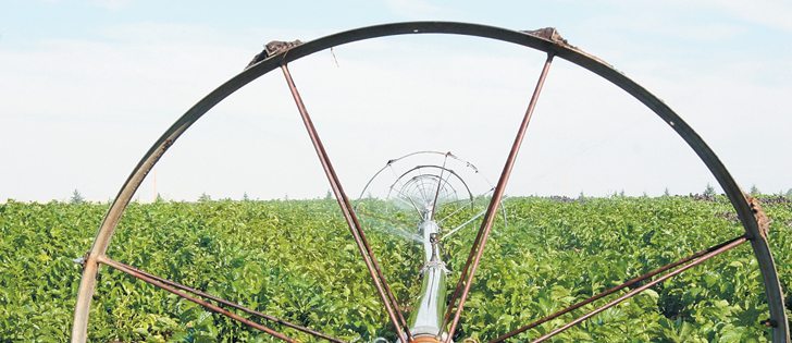 Organic yields are about 30 percent less than conventional agriculture, thereby producing less food for distribution to those in need, says the author.  |  File photo