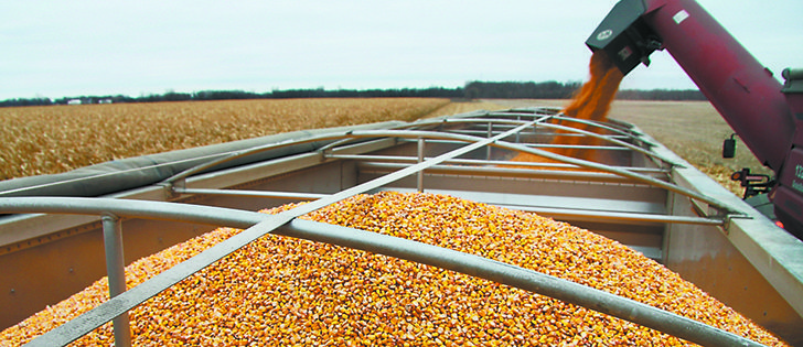 Monsanto has set a goal of eight to 10 million acres of corn on the Prairies by 2025.  |  File photo