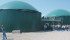 The Whale family decided to produce bio-gas for a more environmentally sustainable farm. However, they needed the revenue flow from electrical generation for the $3 million project. | Ron Lyseng photo