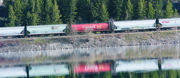 Railway companies say they have a record number of cars moving grain from the Prairies to ports this year but the authors believe other higher paying commodities are getting priority.  |  File photo