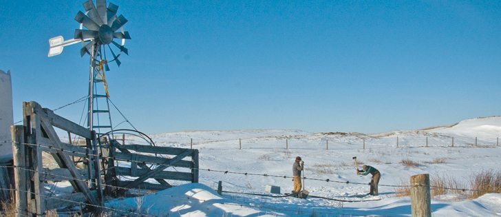 Dugouts should be fenced to keep out cattle.  |  File photo