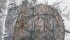 The Ameristep Doghouse hunting blind is made of quality materials and sets up easily, even after collapsing under heavy snow. | Tami Zurakowski photo