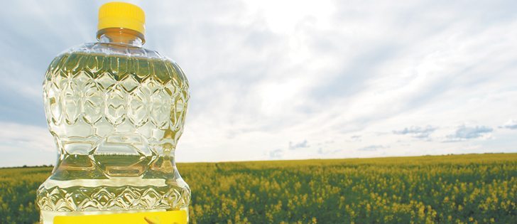 The Saskatchewan Canola Development Commission has passed a resolution to determine whether farmers should push for premiums based on oil content of their canola. | File photo