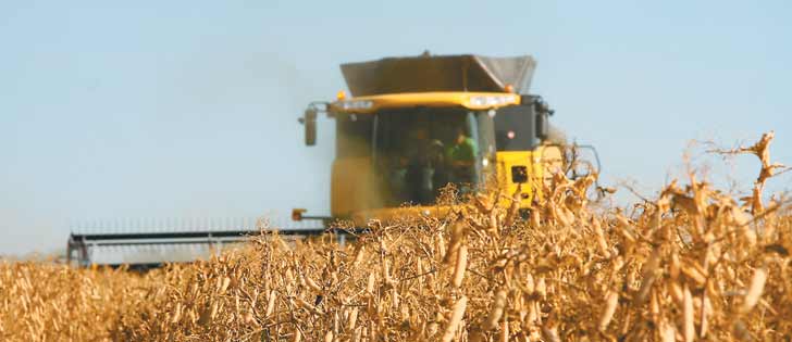 Pulse prices have been a breath of fresh air in a generally sliding market this winter.  |  File photo