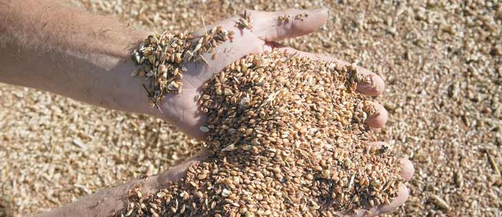 The centuries old system that gave ownership of seeds to farmers worked well and shouldn’t be changed, says the author.  |  File photo