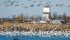 Not all seasons can support the same number and variety of birds. | File photo