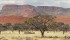 Desiccated camelthorn trees poke out from the sand at Dead Vlei in Namibia’s Namib Desert. Below, people walking in the fine, rusty-red sand sink ankle deep. | Arlene and Robin Karpan photo