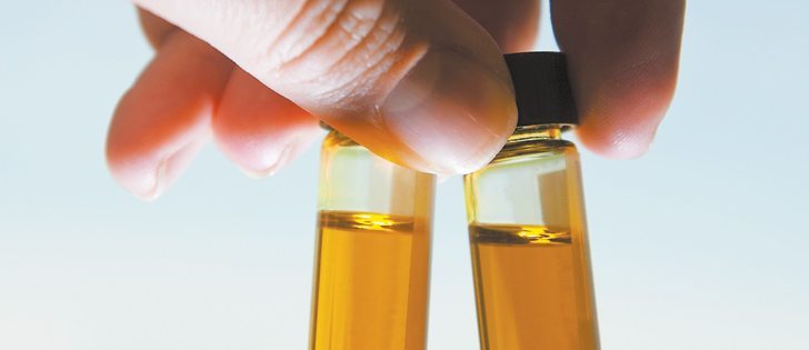 In 2007, the Canola Council of Canada established a series of goals to meet by 2015. Many of those goals, such as 15 million tonnes of canola production and 45 percent average oil content in the seed, have been met well ahead of schedule.  |  File photo