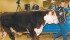 The annual bull sale used to attract hundreds of entries but numbers have dwindled in recent years. | File photo