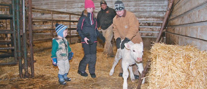 Siblings Hinton, left, Halle and Hunter Herback help a newborn Charolais calf stand up in the birthing barn, as their father, Velon, looks on. | Karen Morrison photo