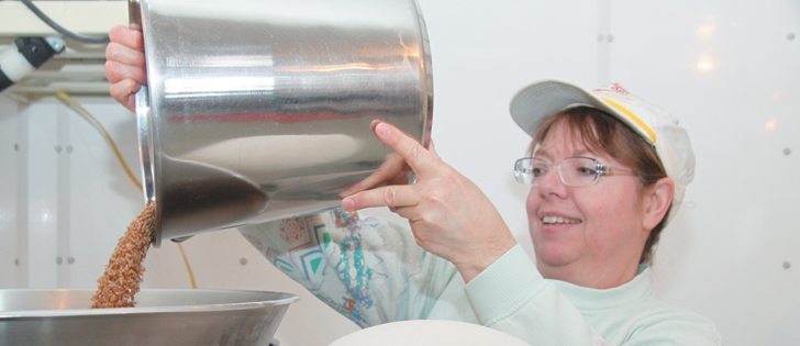 Fran DeRuyck dumps a pail of organic wheat into a flour mill. Fran and her husband, Dan, farm 700 acres with his parents, growing organic grains and oilseeds.  |  Robert Arnason photo
