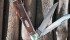 The Buck Large Trapper handles well but the low-grade steel causes usability issues. | Michael Raine photo