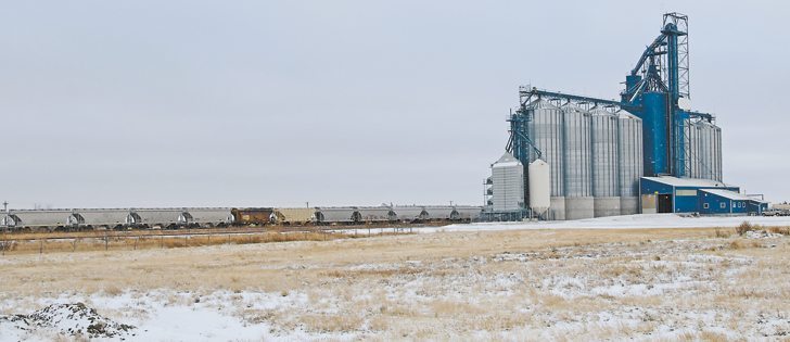 A law passed last year designed to improve service for railway customers has delivered no noticeable benefits for Canada’s agricultural shippers, says an executive with the Western Grain Elevators Association. | File photo