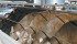 Page Stuart, chair of the Alberta Cattle Feeders Association, believes the province is still the best place to produce cattle. | File photo