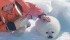 Arlene Karpan pets a baby harp seal. | Robin and Arlene Karpan photo