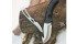 The Buck Omni Hunter 12PT and Paklite Caper knives are made of 420HC stainless steel. | Michael Raine photo