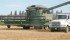 Carberry wheat continues to grow in popularity among Manitoba wheat growers. Since commercial seed became available in 2012, Carberry acreage in the province has grown to 832,00 acres. | File photo