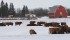 Livestock exports will be affected by the trade deal between Canada and South Korea, in this week's edition of Canada's Weekly Farm Video. | File photo