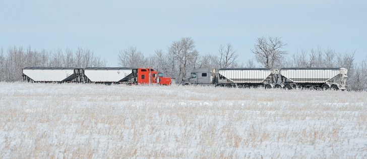 Railway congestion has forced a canola crusher in Washington state to truck in supplies as well as truck out finished product this winter.  |  File photo