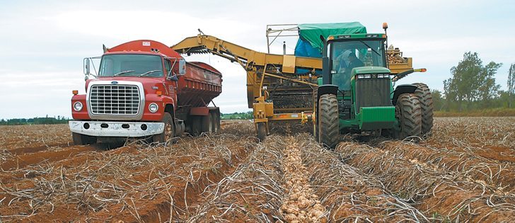 Processors have severed contracts with several Manitoba growers this year as they reduce volumes in the province.  |  File photo