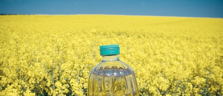 Growers will get five percent above the spot price for high oil content.  |  File photo
