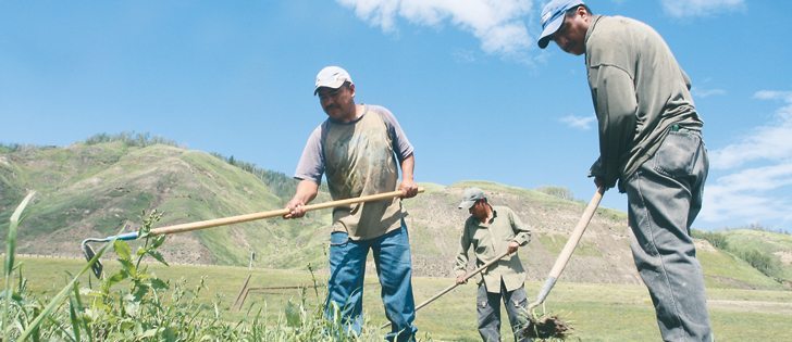 Foreign workers form integral parts of the agricultural labour force in Canada, whether they enter the country under the Temporary Foreign Worker Program or some other program. While misuse of the program has made headlines lately, many in the agricultural industry say they could not do without foreign workers.  |  File photo