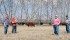 Pamela and Nick Wolanski, with baby Marli, left, and Marian Noll and Duane Guina are seeking innovative ways to help provide more permanent protein sources for food banks with goods produced organically at the Home Quarter farm near Wynyard, Sask. | Duane Guina photo