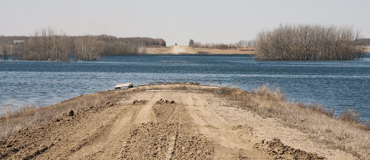 Grid 639 north of Lestock toward Wishart, Sask., used to run straight north but water has taken over. It’s a sign, says Gerald Faye, of a much higher water table and wetter years. | Karen Briere photo