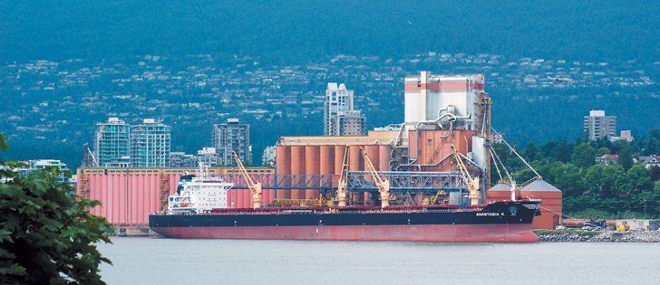 Despite a railway logjam that caused shipping delays, food exports are expected to rise this year.  |  File photo 