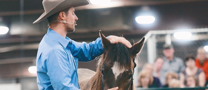 Horse trainer Russ Krachun teaches a horse how to lower its head to receive the bridle. Krachun, originally from Ukraine, was taking part in the trainers’ challenge at the Mane Event in Red Deer.  |  Mary MacArthur photo