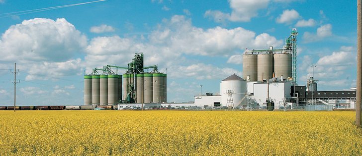 Despite expanded processing capacity, the canola crush is almost identical to 2012-13.  |  File photo