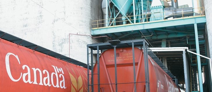 More Canadian wheat will be heading south of the border. Expensive hard red winter wheat has prompted U.S. millers to add cheaper Canadian wheat to their mill grinds.  |  File photo