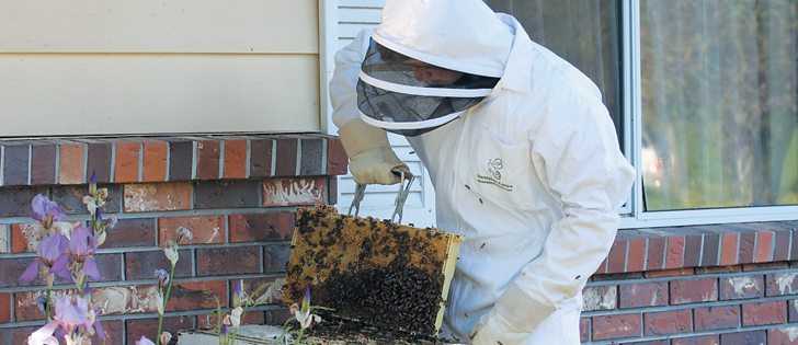 Mark Schmidt, a B.C. Fraser Valley Footprints 4-H Club member, suits up to tend to his beekeeping project at his home at Abbotsford, B.C. He smokes the bees to calm them.  |  Karen Morrison photo