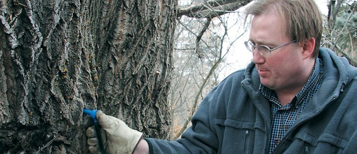 Quebec produces 90 percent of Canada’s maple syrup, followed by Ontario with five percent.  |  File photo