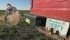 Percy Schmeiser found himself at the centre of the debate over genetically modified crops in 2005, when this photograph was taken on his farm near Bruno, Sask. | File photo
