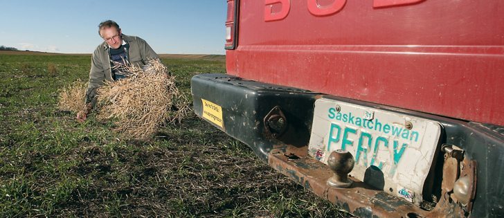 Percy Schmeiser found himself at the centre of the debate over genetically modified crops in 2005, when this photograph was taken on his farm near Bruno, Sask. | File photo