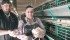Robert and Paul Wurz of Morinville Colony show off their eggs and chicken. The Alberta Egg Producers named the Morinville Colony egg producer of the year out of 157 producers in the province. | Mary MacArthur photo