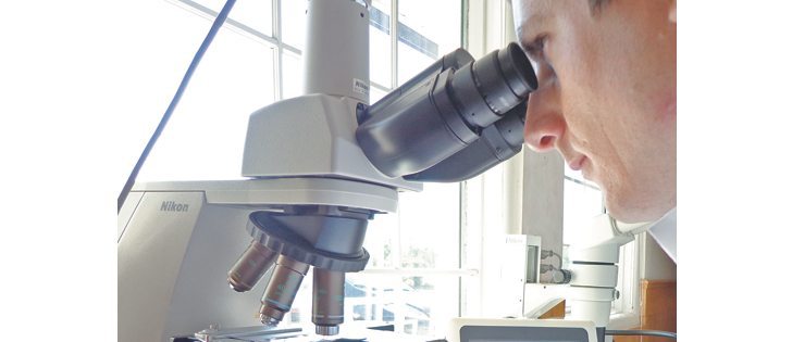  It’s a long road for a bacterium, from a shovel full of soil through years of screening, before it might be lucky enough to go back into a canola field. Out of a starting group of many thousand different bacterium, only one strain will survive to become the commercialized inoculant.  |  XiteBio photo