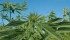 A division of Next Gen organizes conferences to build investment and business-to-business opportunities in the industrial hemp sector, as well as in medical marijuana and alternative medicine. | File photo