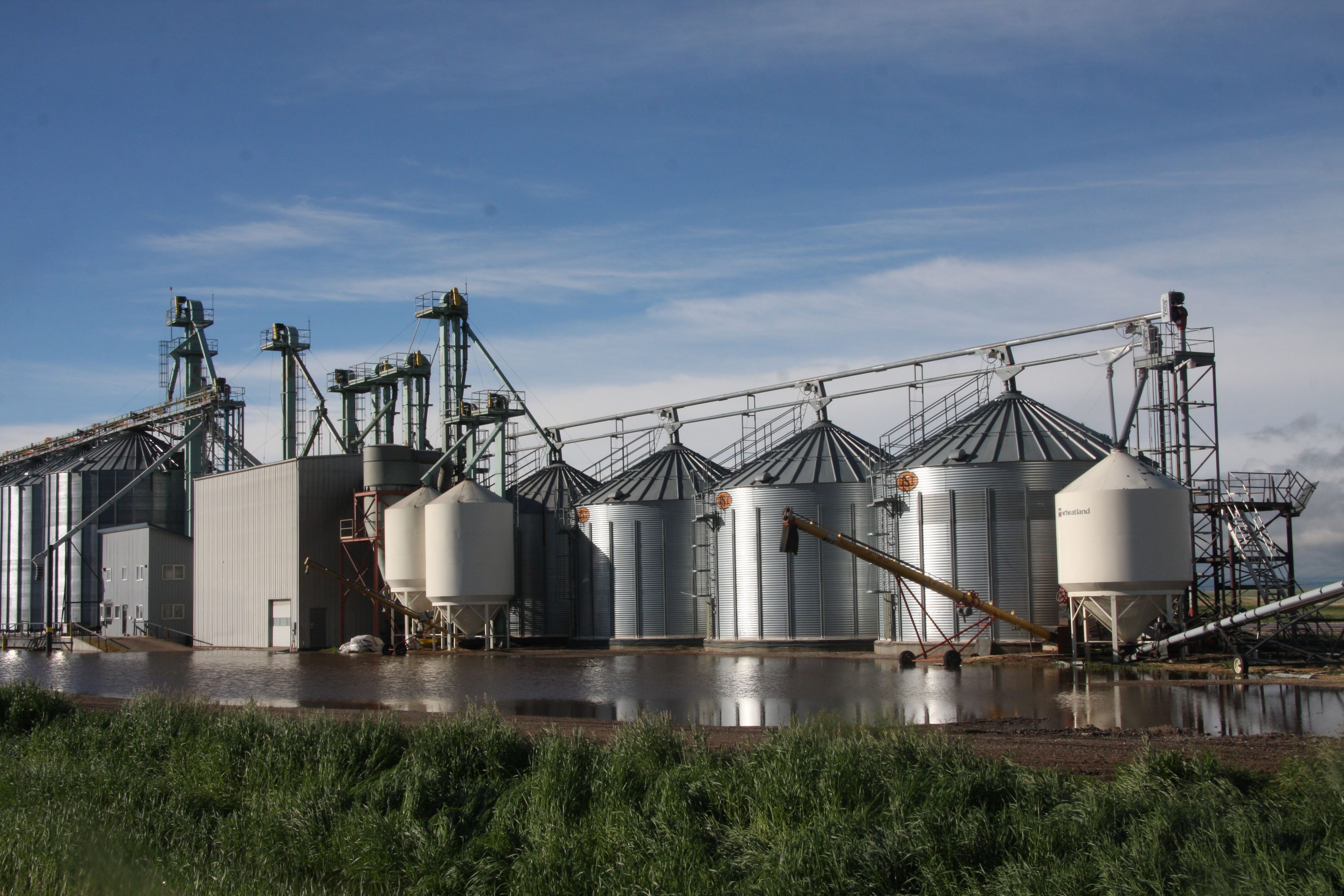 Ducks and frogs were the only customers June 19 at L.A. Grain Ltd. south of Lethbridge. About five inches of rain have caused overland flooding in much of the region. A reprieve from rain in the morning gave way to more showers in the afternoon but there is dry weather in the forecast. / BARB GLEN PHOTO