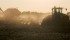Watch McMillan's Markets for the most important crop and livestock market information of the week. |Robin Booker, photo.