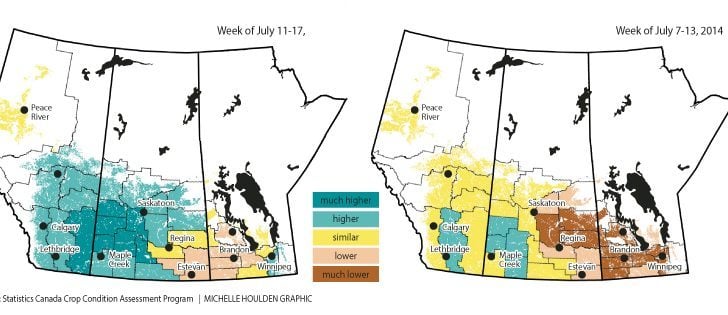 The area in the eastern Prairies suffering from excess moisture and delayed crop growth this year is much larger than it was in 2011, the last year of significant flooding. In 2011, Manitoba’s canola yield was 16 percent below the five-year average and wheat was 13 percent below the average. The maps are based on satellite measurements of vegetation greenness and how they vary from a long-term average index. The map for this year shows normal to higher than normal conditions in Alberta and western Saskatchewan, but not as good as in 2011.