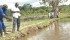 Co-operatives, such as this catfish farm in Uganda photographed in 2008, are seen as a way to improve the lives of millions of people around the world.  |  File photo