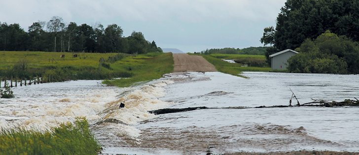 Paying farmers to maintain dugouts, sloughs and tree stands to retain water and reduce damage to roads and infrastructure should be examined by governments, says the author.  |  Robin Booker photo
