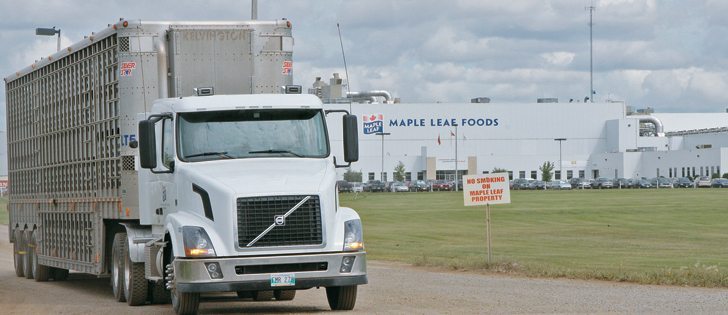 The meat sector is critical of restrictions on the number of foreign workers a company can hire, saying Canadians do not want to work at slaughter plants.  |  File photo