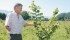 Pentti Hanninen of Canadian Hazelnut in Agassiz, B.C., is trying new tree varieties to combat the eastern filbert blight currently ravaging orchards in Canada and the United States. The blight reduces the yield and will eventually kill the tree. | Karen Morrison photo